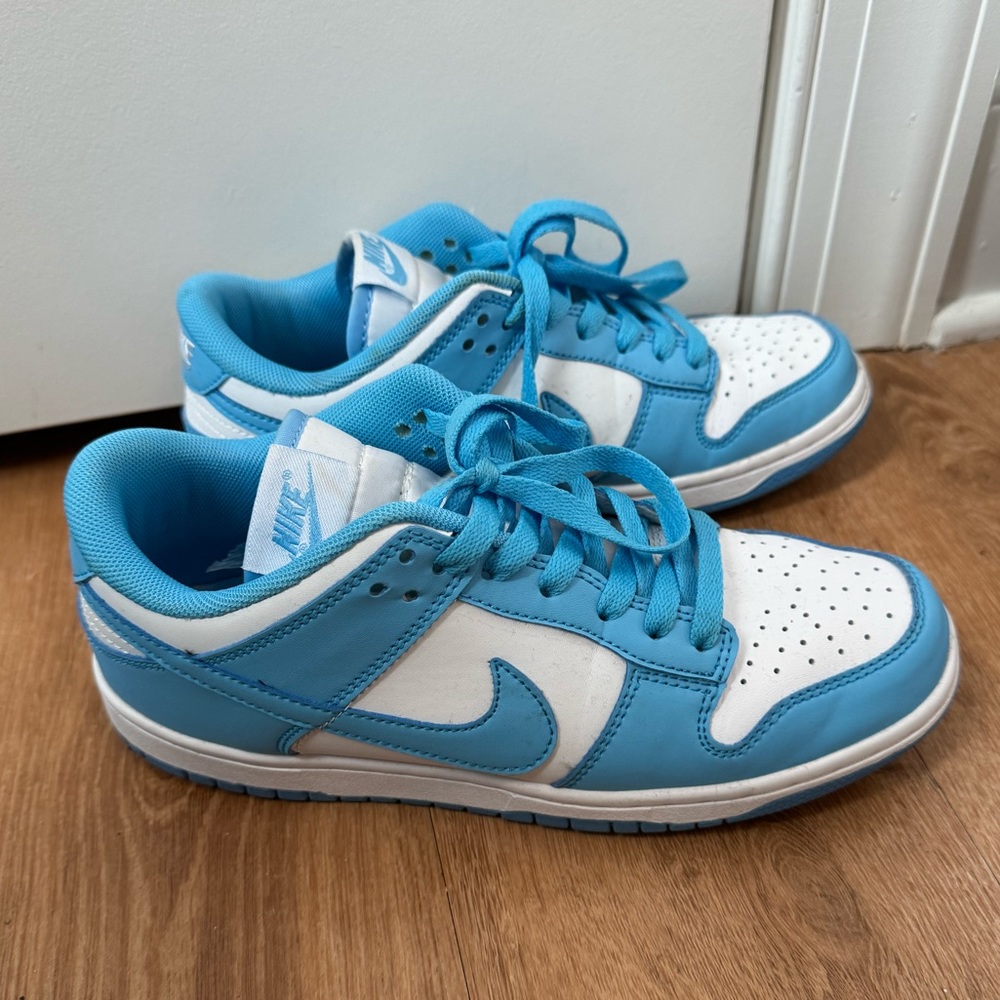 Blue Nike dunk low